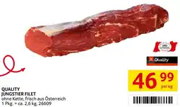 Transgourmet Quality jungstier filet Angebot