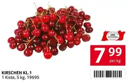 Transgourmet Kirschen kl.1 Angebot