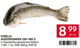 Transgourmet Forelle ausgenommen Angebot