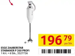 Transgourmet Esge zauberstab stabmixer p 350 profi Angebot