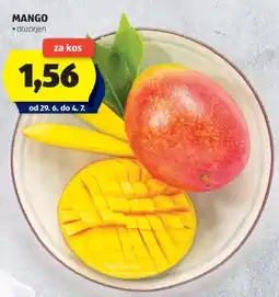 Hofer Mango Angebot
