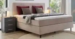 XXXLutz Welnova Boxspringbett Angebot