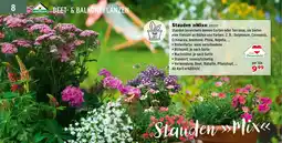 Salzburger Lagerhaus Stauden Mix Angebot