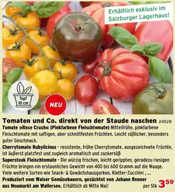 Salzburger Lagerhaus Tomaten und Co. direkt von der Staude naschen Angebot