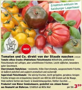 Tomaten und Co. direkt von der Staude naschen