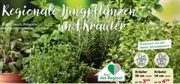 Salzburger Lagerhaus Regionale Jungpflanzen und Kräuter Angebot