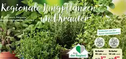 Salzburger Lagerhaus Regionale Jungpflanzen und Kräuter Angebot