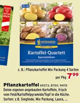 Salzburger Lagerhaus Pflanzkartoffel Angebot