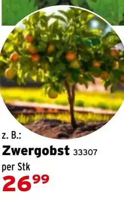 Salzburger Lagerhaus Zwergobst Angebot
