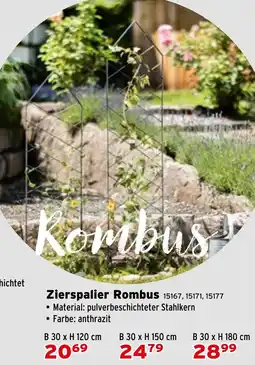 Salzburger Lagerhaus Zierspalier Rombus Angebot