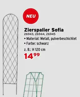 Salzburger Lagerhaus Zierspalier Sofia Angebot