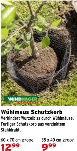 Salzburger Lagerhaus Wühlmaus Schutzkorb Angebot