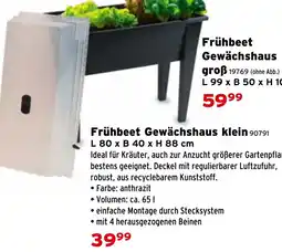 Salzburger Lagerhaus Frühbeet Gewächshaus Klein Angebot