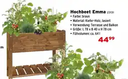 Salzburger Lagerhaus Hochbeet Emma Angebot