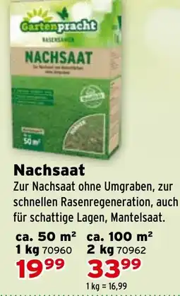 Salzburger Lagerhaus Nachsaat Angebot