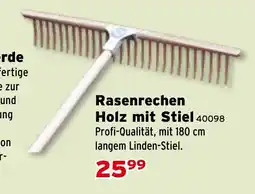 Salzburger Lagerhaus Rasenerde Holz mit Stiel Angebot