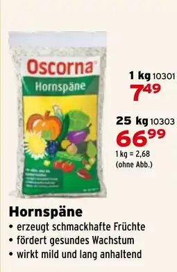 Salzburger Lagerhaus Hornspäne Angebot