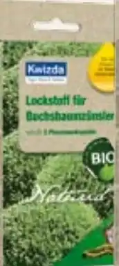 Salzburger Lagerhaus Lockstoff Buchsbaumzünsler 82845 Angebot