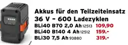 Salzburger Lagerhaus Akkus für den Teilzeiteinsatz 36 V-600 Ladezyklen Angebot