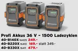 Salzburger Lagerhaus Profi Akkus 36 V - 1500 Ladezyklen Angebot