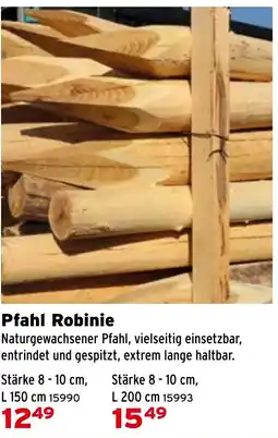 Salzburger Lagerhaus Pfahl Robinie Angebot