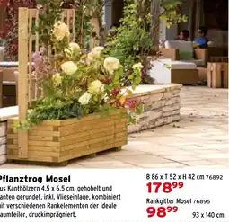 Salzburger Lagerhaus Pflanztrog Mosel Angebot