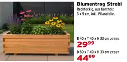Salzburger Lagerhaus Blumentrog Strobl Angebot