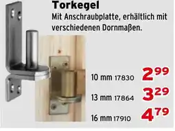 Salzburger Lagerhaus Torkegel Angebot