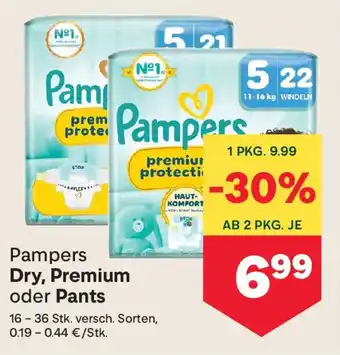 MPreis Pampers Dry, Premium oder Pants Angebot