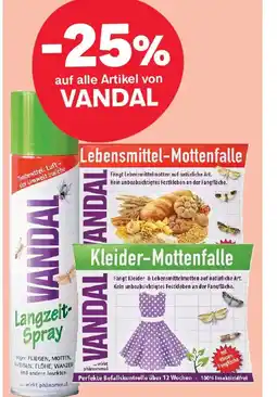 MPreis Vandal Angebot