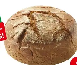 Eurospar Spar Natur pur Bio-Roggenbrot Angebot