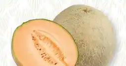SPAR Gourmet Spar Cantaloupe Melone Angebot