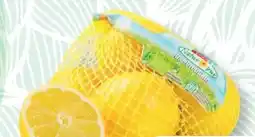 SPAR Gourmet Spar Natur pur Bio-Zitronen Angebot