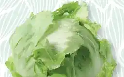 SPAR Gourmet Spar Eisbergsalat Angebot