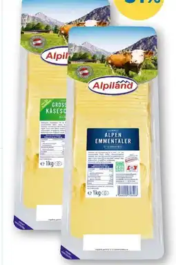 T&G Alpiland Käsescheiben Angebot