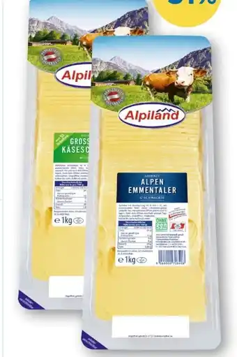 T&G Alpiland Käsescheiben Angebot