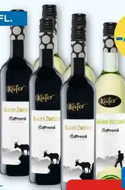 T&G Käfer Weine Angebot
