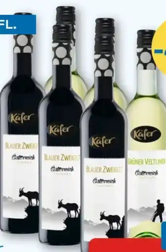T&G Käfer Weine Angebot