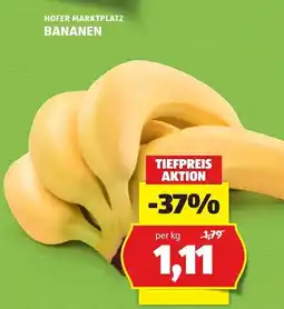 Hofer Hofer marktplatz bananen Angebot