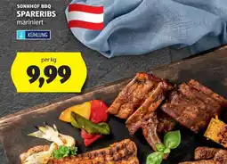 Hofer Sonnhof bbq spareribs Angebot