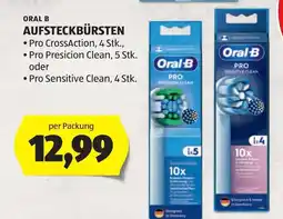 Hofer Oral b aufsteckbürsten Angebot
