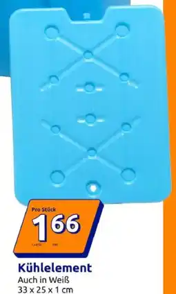 Action Kühlelement Angebot