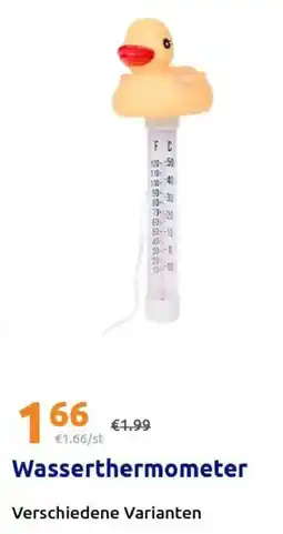 Action Wasserthermometer Angebot