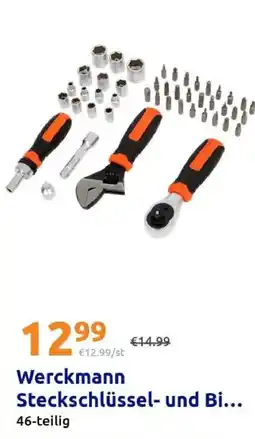 Action Werckmann Steckschlüssel- und Bi... Angebot