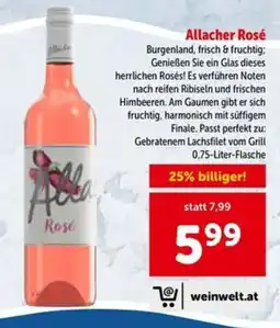 Interspar Allacher Rosé Angebot