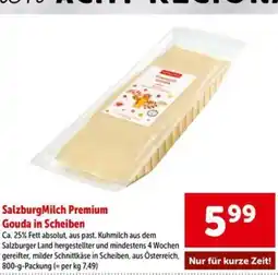 Interspar SalzburgMilch Premium Gouda in Scheiben Angebot