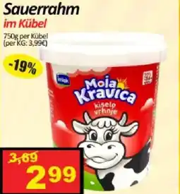 Wurstico Sauerrahm Angebot
