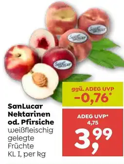 ADEG San Lucar Nektarinen od. Pfirsiche Angebot