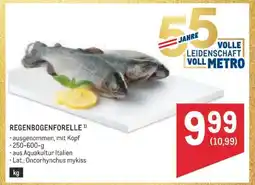 Metro Regenbogenforelle Angebot