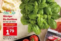 Interspar Würziger Bio-Basilikum Angebot